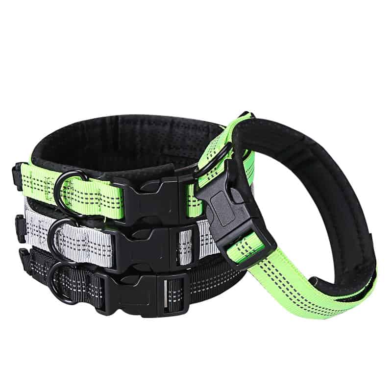 Reflective Collar