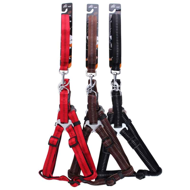 H Type Harness with Leash