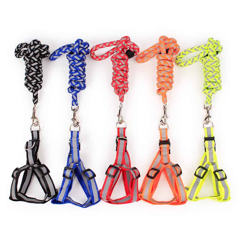 Reflective Harness with Roung Leash