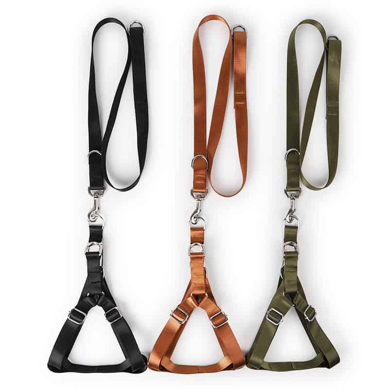 Large Dog Harness with Leash