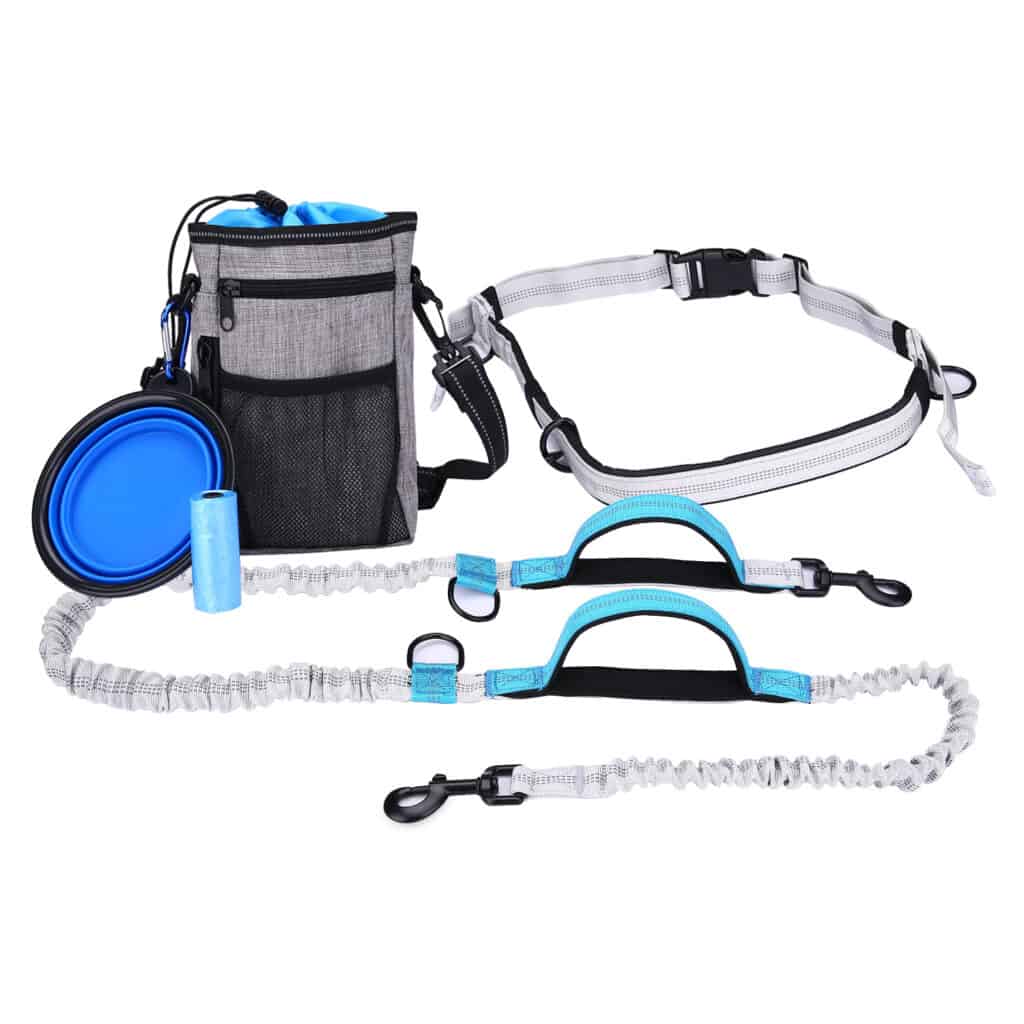 Jogging Handfree Leash Set