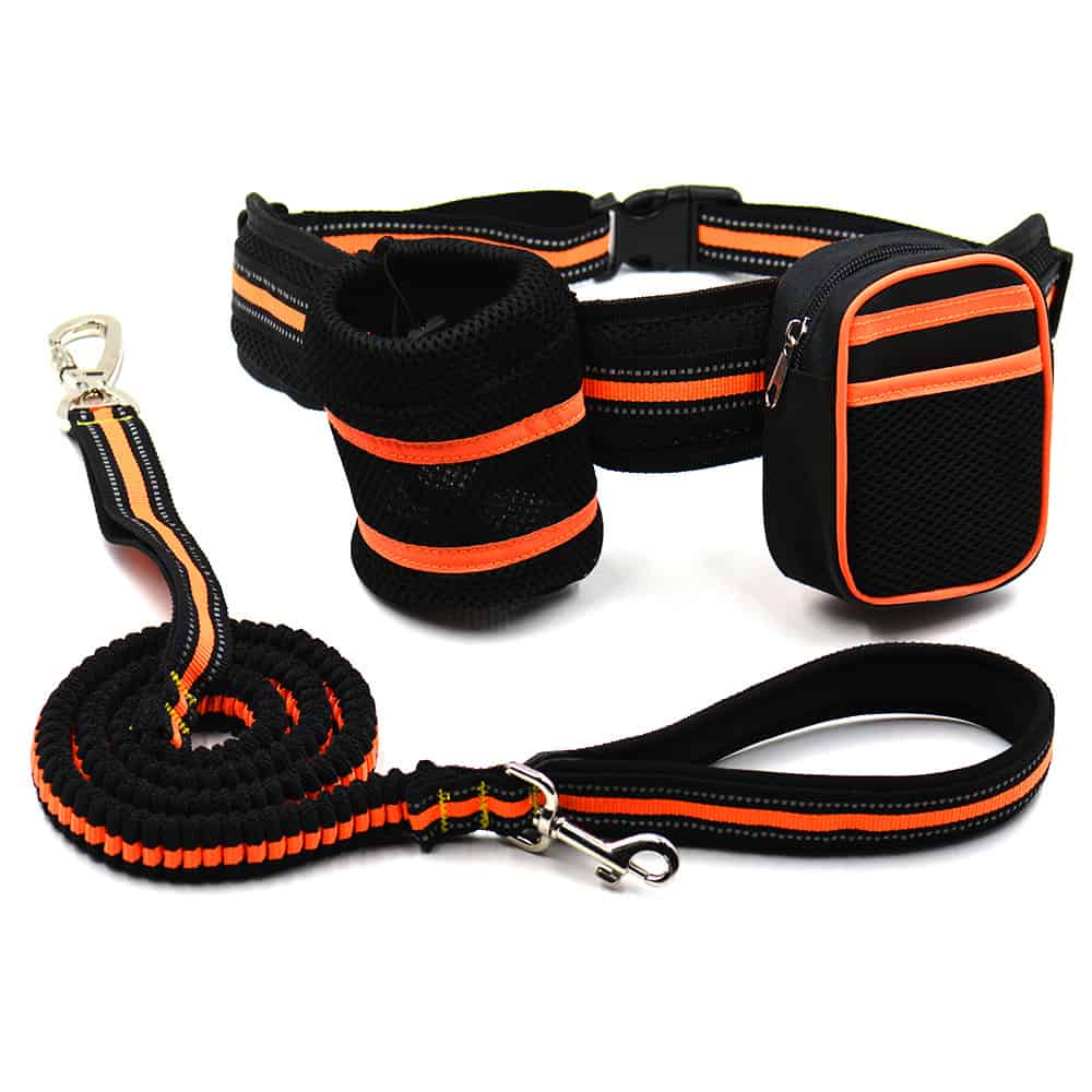 Fluorescent Orange Leash Set